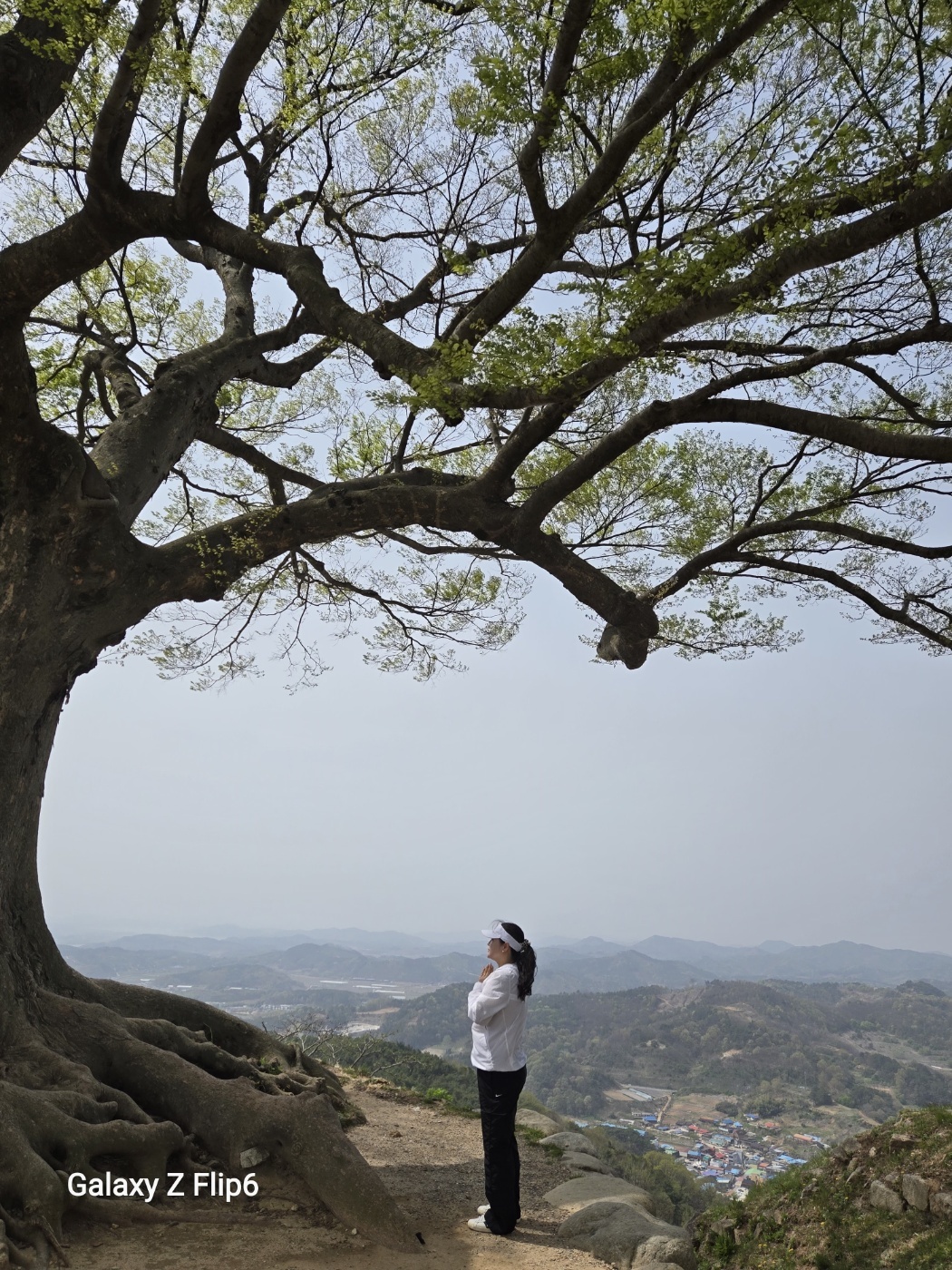 3555410711_xg8pKiMo_3a2bbad5b50b52aed738587fdeb727c1e63c482e.jpg 이미지크게보기
