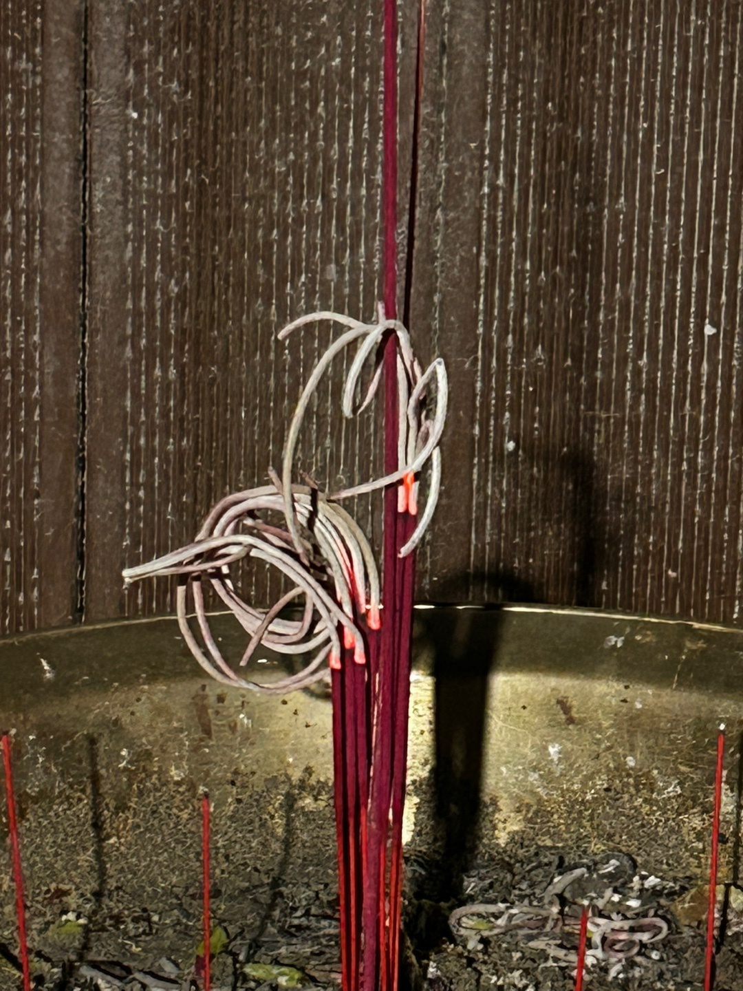 3695294320_Z7RJhF8H_d2fbdad4d3e53757c9f7f5f1f5af32a359975309.jpg 이미지크게보기