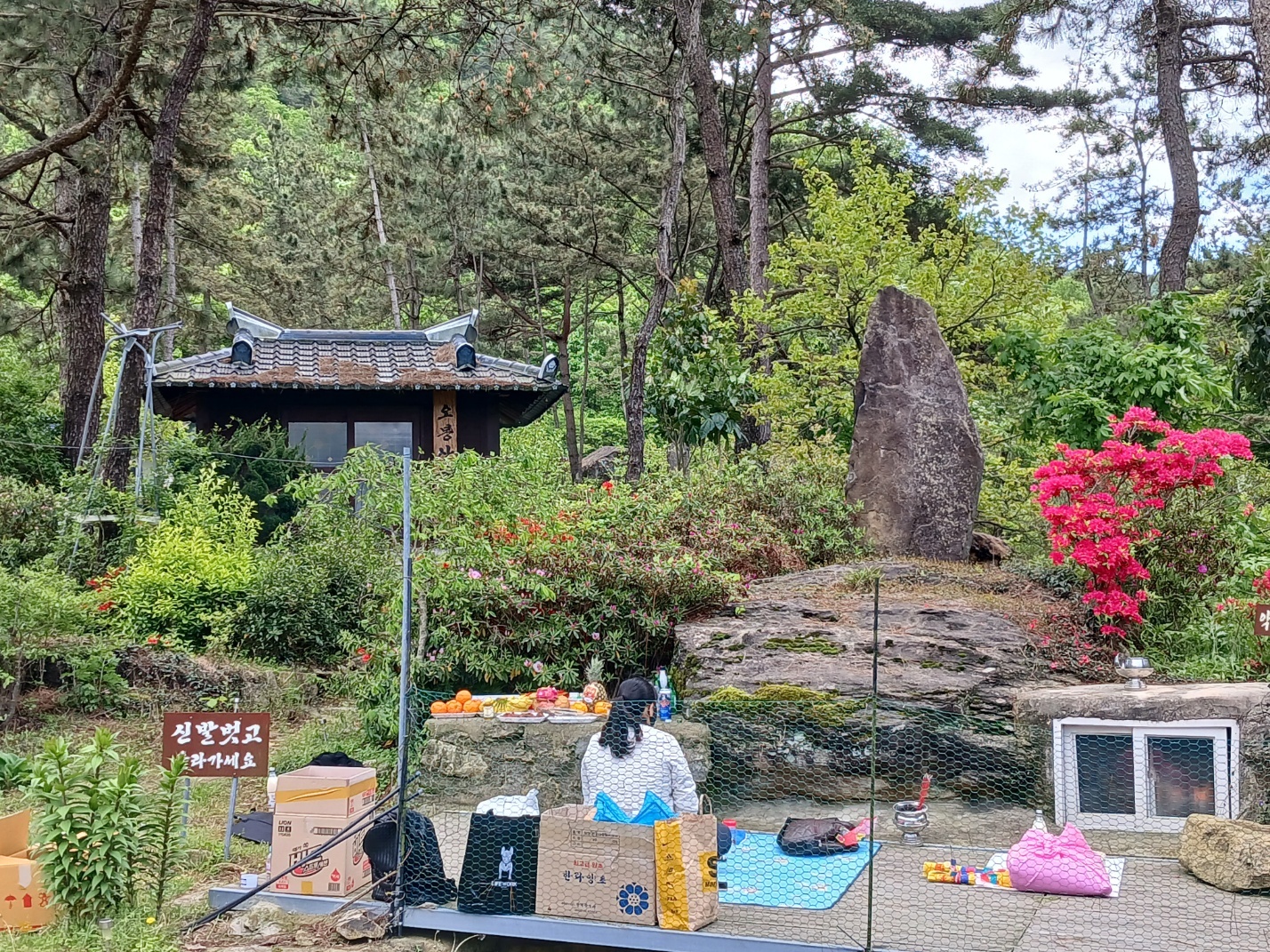 3695294320_vZ023no8_ccca724e0833b010f6734d2c689a572d45be4486.jpg 이미지크게보기